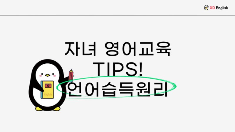 어떻게 영어를 모국어처럼 자유롭게 말할 수 있을까?