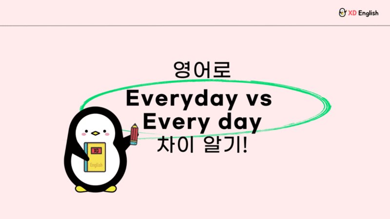 Everyday 와 Every day의 차이 알기!