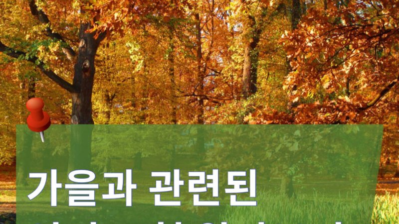 Turn into a pumpkin?? (가을관련 영어표현)